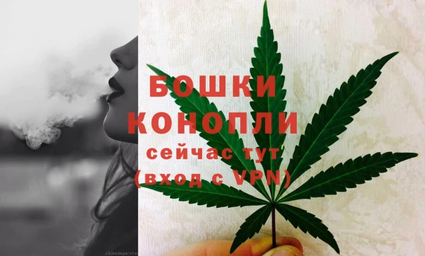 стаф Беломорск