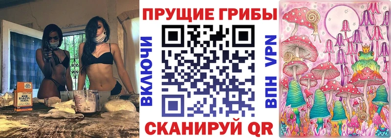 Псилоцибиновые грибы Psilocybine cubensis  магазин продажи наркотиков  Окуловка 
